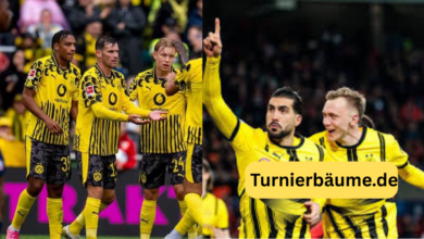 Aufstellungen: teilnehmer: borussia dortmund gegen lille osc